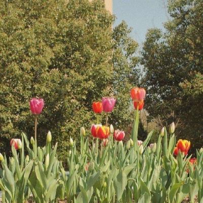 大发棋牌方网址入口