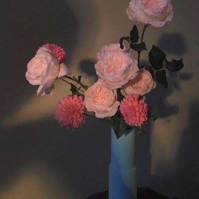 任你博下载手机版