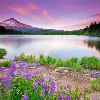 jn江南体育下载