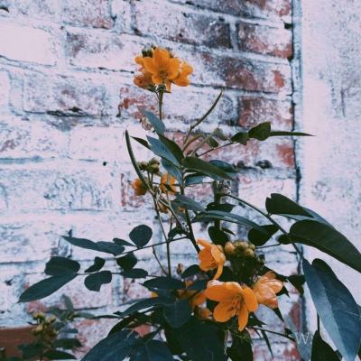 云开全站登录app