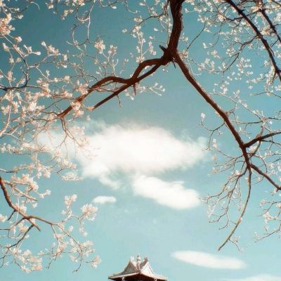 yabo官网网页版app下载