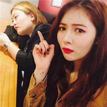 2023澳门资料大全正版下载手机版